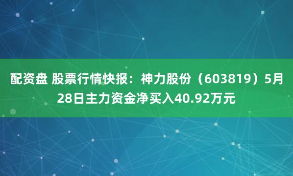 配资盘 股票行情快报：神力股份（603819）5月28日主力资金净买入40.92万元