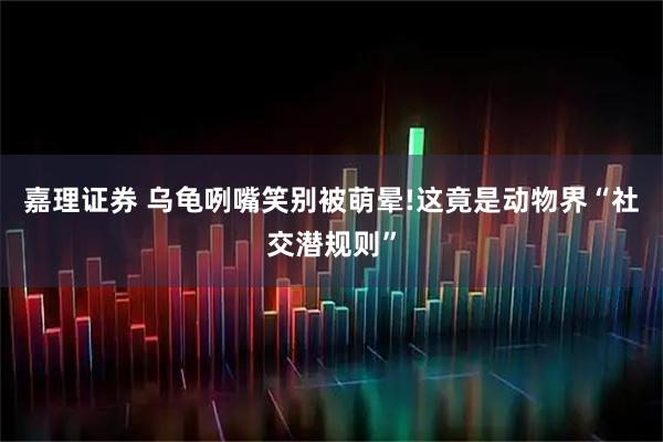 嘉理证券 乌龟咧嘴笑别被萌晕!这竟是动物界“社交潜规则”