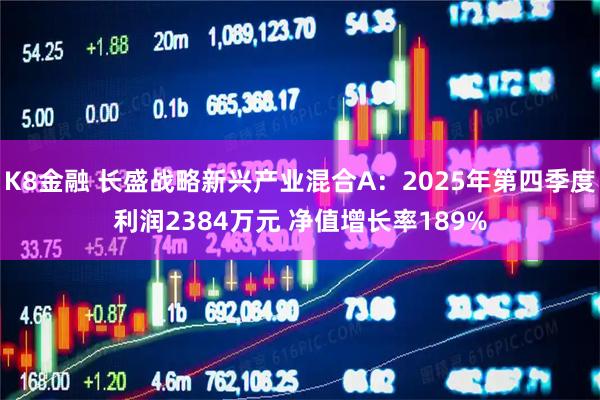K8金融 长盛战略新兴产业混合A：2025年第四季度利润2384万元 净值增长率189%