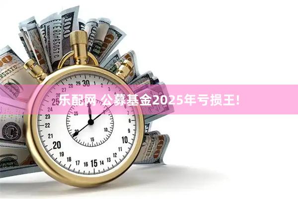 乐配网 公募基金2025年亏损王!