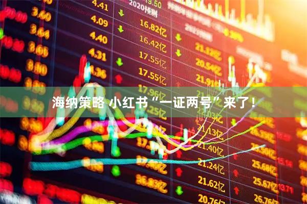 海纳策略 小红书“一证两号”来了！